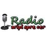 Radio Aripi Spre Cer – International